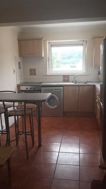 Abbeyville Apartments Cork 0*,